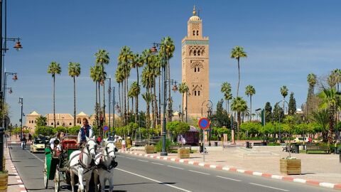 لماذا يقصد السياح مدينة مراكش