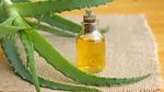زيت الصبار لتطويل الشعر