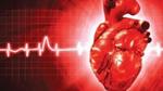 أسباب زيادة ضربات القلب