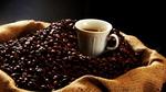 تاريخ القهوة