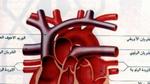 كم عدد صمامات القلب