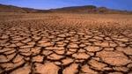 كيفية مكافحة التصحر