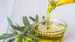 كيفية استخراج زيت الزيتون