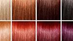 طريقة دمج ألوان صبغات الشعر