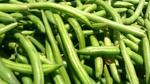 طريقة تفريز الفاصوليا الخضراء
