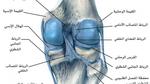 علاج غضروف الركبة