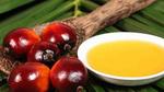 أضرار زيت النخيل