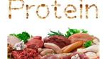 البروتينات