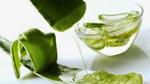 فوائد زيت الصبار للبشرة
