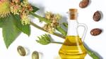 فوائد زيت الخروع للبشرة الدهنية