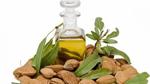 فوائد زيت الخروع