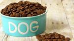 أفضل طعام للكلاب
