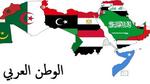 أهمية الوطن العربي