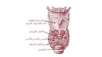 آثار الغدة الدرقية
