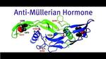 ما هو تحليل AMH
