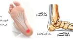 ما هو مشط القدم