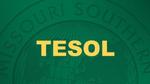 ما هو تخصص TESOL