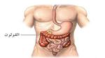 أين مكان القولون في جسم الإنسان