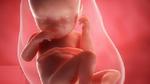 أين يكون رأس الجنين في الشهر السابع