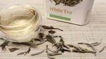 أضرار الشاي الأبيض