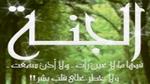 كلام عن الجنة