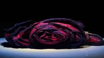 رواية ثلاث سنين شقى عمري