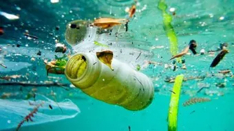 بحث حول التلوث