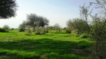 تعبير قصير عن الوطن