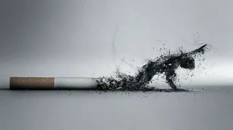 موضوع عن ظاهرة التدخين