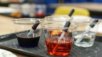 خصائص الأحماض