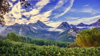 معايير جودة الهواء