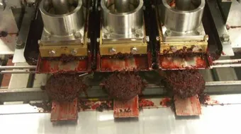 صناعة المعسل