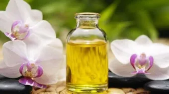 أضرار العنبر