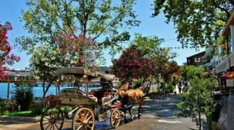 جزيرة في تركيا