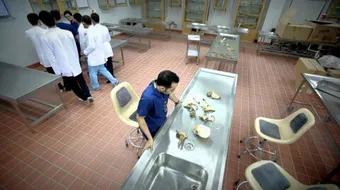 مفهوم علم التشريح