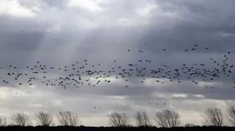 ولا تحسبن الذين قتلوا