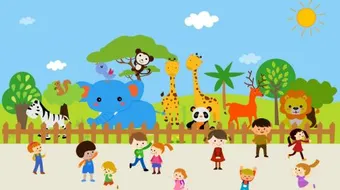 طرق حماية الحيوانات