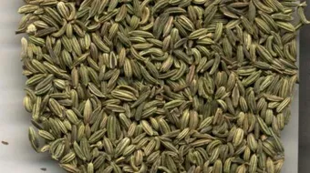 فوائد اليانسون والشمر