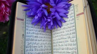 اسم آخر للقرآن الكريم