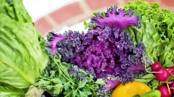 أطعمة خافضة للضغط