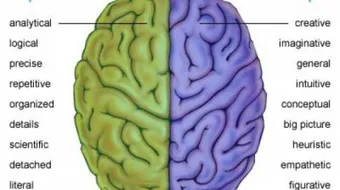 هل تستخدم الجانب الأيمن أم الأيسر من عقلك