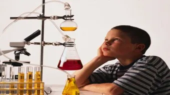 مجالات البحث العلمي