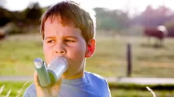 علاج مرض الربو