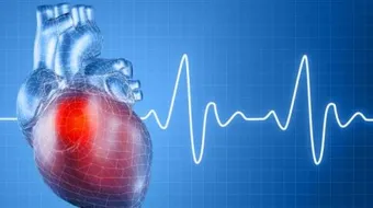 متوسط عدد ضربات القلب السليم