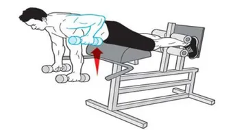 تمارين لعضلات الظهر