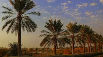 محافظة البصرة