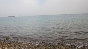 حماية الشواطئ