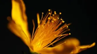 عبارات جميلة ومؤثرة