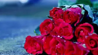 كلام حب جميل ورومانسي