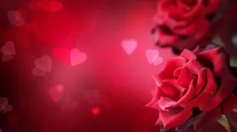 اشعار حب جميلة